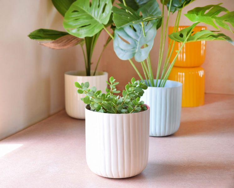 Aviva Planter - Ivory White