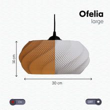 Load image into Gallery viewer, Ofelia  - Ceiling Light for Home restaurants and offices
