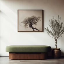 Load image into Gallery viewer, Sablon Teak Wood Bench
