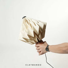 Load image into Gallery viewer, TARO Table Lamp - Sculptural Lamp for Home, Restaurants and Offices
