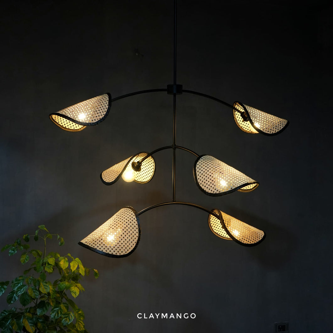 Pariza- Unique handmade Woven Hanging Pendant Light, Natural/Cane Pendant Light for Home restaurants and offices.