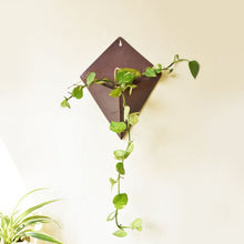 Load image into Gallery viewer, Wall Pocket Planters-Home Décor-Claymango.com
