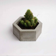 Load image into Gallery viewer, Paradox Hexagon Grey Cement Planter/Vase/Flower Pot/Home Decor/Garden Decor (Grey Marble, White Cement)-Home Décor-Claymango.com
