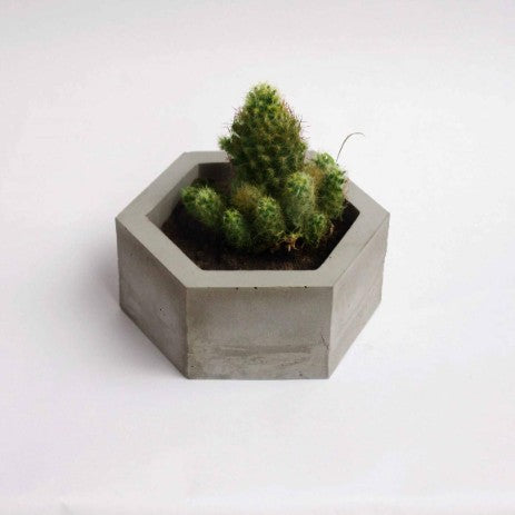 Paradox Hexagon Grey Cement Planter/Vase/Flower Pot/Home Decor/Garden Decor (Grey Marble, White Cement)-Home Décor-Claymango.com