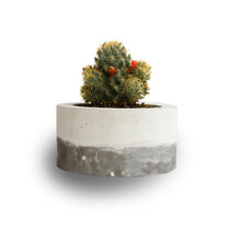 Load image into Gallery viewer, Paradox Round Cement Planter / Vase / Flower Pot / Home decor-Home Décor-Claymango.com
