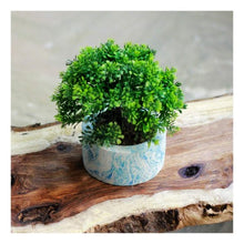 Load image into Gallery viewer, Paradox Round Blue/White Cement Planter/Vase/Flower Pot/Home Decor-Home Décor-Claymango.com
