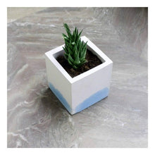 Load image into Gallery viewer, Paradox Rectangle Light Blue Cement Planter/Vase/Flower Pot/Home and Garden Decor-Home Décor-Claymango.com
