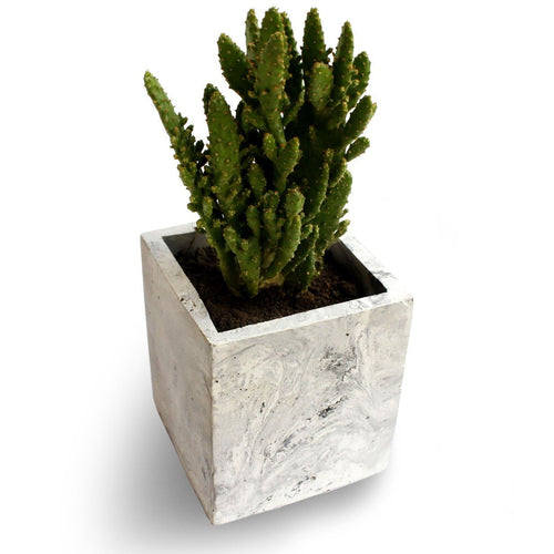 Paradox Rectangle Cement Planter / Vase / Flower Pot / Home decor-Home Décor-Claymango.com