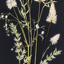 Load image into Gallery viewer, Wild flowers on black-Home Décor-Claymango.com
