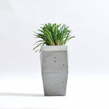 Load image into Gallery viewer, Cavity concrete geometrical concrete planter for table top /office desk / living room / console table-Home Décor-Claymango.com
