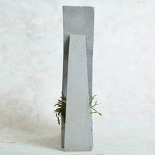 Load image into Gallery viewer, Tri - concrete geometrical concrete planter for table top /office desk / living room / console table-Home Décor-Claymango.com
