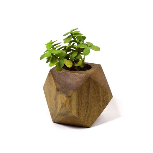 Faceted Cube Wooen Planter-Home Décor-Claymango.com