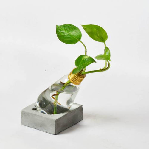 Fused bulb planter - flower holder / planter-Home Décor-Claymango.com