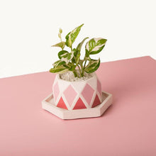 Load image into Gallery viewer, Concrete Diamante Planter - Pink-Home Décor-Claymango.com
