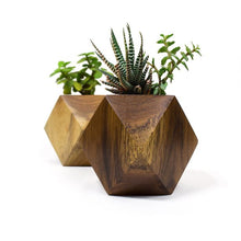 Load image into Gallery viewer, Faceted Cube Wooen Planter-Home Décor-Claymango.com
