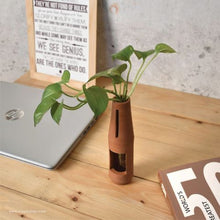 Load image into Gallery viewer, Unique Handmade glass tube Terracotta (clay) Table Top Planter for your workstation.-Terracotta-Claymango.com
