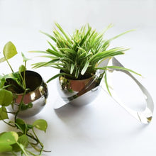 Load image into Gallery viewer, Tabletop Planters - Set of Two - Stainless Steel - Plant Not Included-Home Décor-Claymango.com
