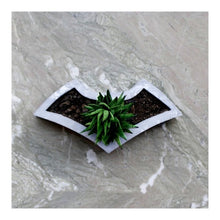 Load image into Gallery viewer, Paradox Batman Grey/White Cement Planter/Vase / Flower Pot/Home Decor-Home Décor-Claymango.com
