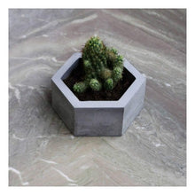 Load image into Gallery viewer, Paradox Hexagon Grey Cement Planter/Vase/Flower Pot/Home Decor/Garden Decor (Grey Marble, White Cement)-Home Décor-Claymango.com

