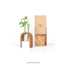 Load image into Gallery viewer, Minima Wood and Marble table top/wall hanging planter v2-Home Décor-Claymango.com

