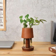 Load image into Gallery viewer, Unique Handmade dual tube Terracotta (clay) Table Top Planter for your workstation.-Terracotta-Claymango.com
