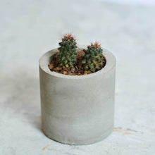Load image into Gallery viewer, Minima concrete geometrical concrete planter for table top /office desk / living room / console table ( small )-Home Décor-Claymango.com
