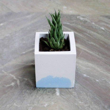 Paradox Rectangle Light Blue Cement Planter/Vase/Flower Pot/Home and Garden Decor-Home Décor-Claymango.com