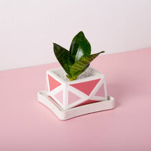 Load image into Gallery viewer, Concrete Crystal Planter - Pink-Home Décor-Claymango.com

