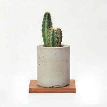 Load image into Gallery viewer, Minima concrete geometrical concrete planter for table top /office desk / living room / console table ( big )-Home Décor-Claymango.com
