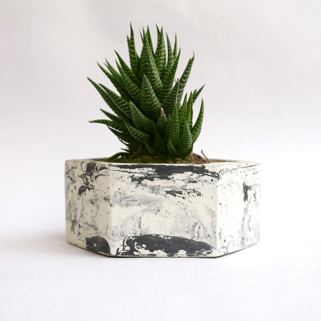 Paradox Hexagon Cement Planter / Vase / Flower Pot / Home decor-Home Décor-Claymango.com