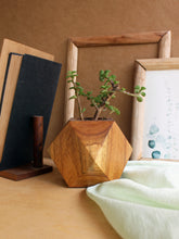 Load image into Gallery viewer, Faceted Cube Wooden Planter - Studio Indigene
