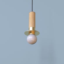 Load image into Gallery viewer, Firefly (Pendant Lamp)
